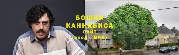гидропоника Няндома