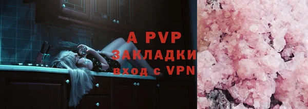 индика Ветлуга