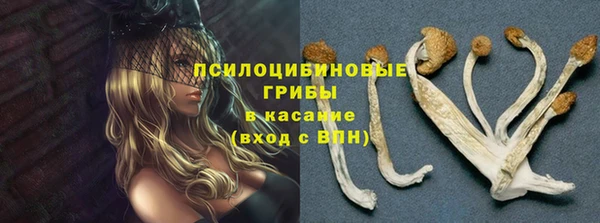 не бодяженный Нязепетровск