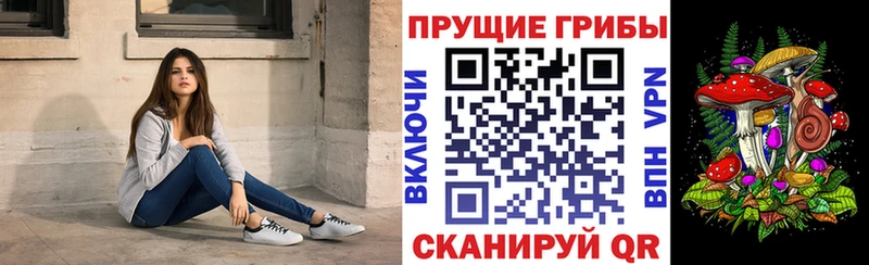 Галлюциногенные грибы Cubensis цены Калининец