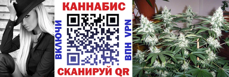 где купить наркоту  Калининец  Бошки марихуана конопля 
